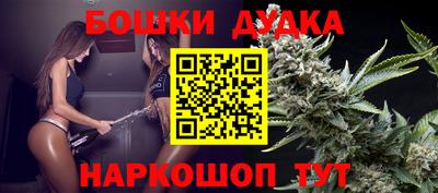 крисы Северобайкальск