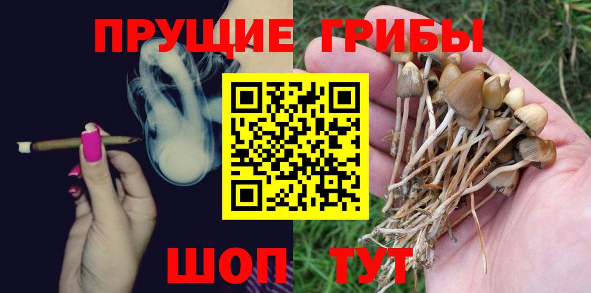 Назрань  Галлюциногенные грибы MAGIC MUSHROOMS  Вход с VPN 